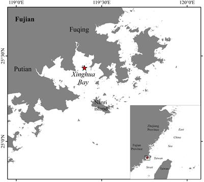 Biofouling characteristics in Xinghua Bay of Fujian, China